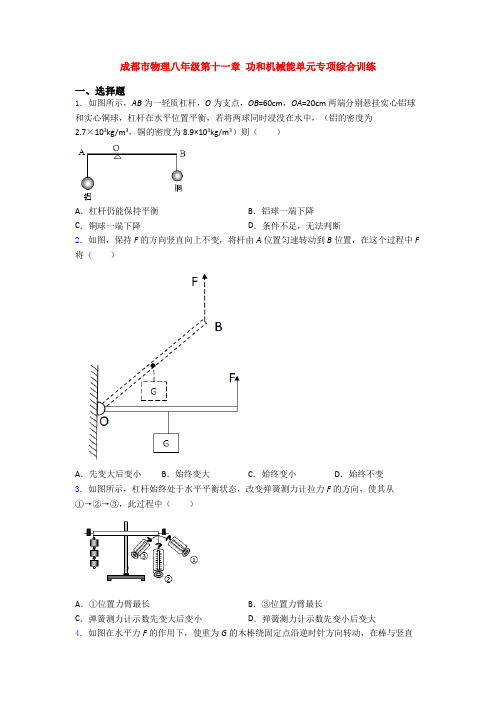 成都市物理八年级第十一章 功和机械能单元专项综合训练