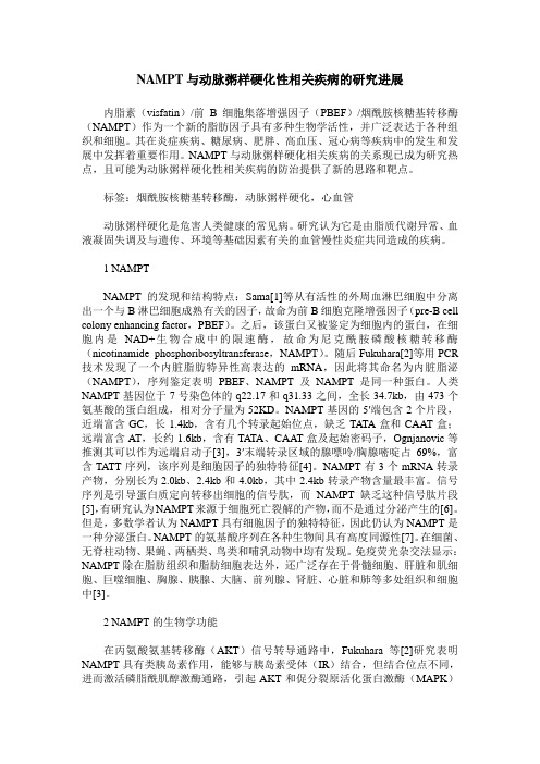 NAMPT与动脉粥样硬化性相关疾病的研究进展