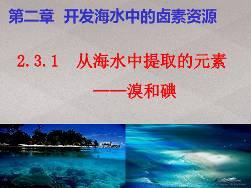 沪科版化学高一上册-2.3 从海水中提取的元素—溴和碘 课件 