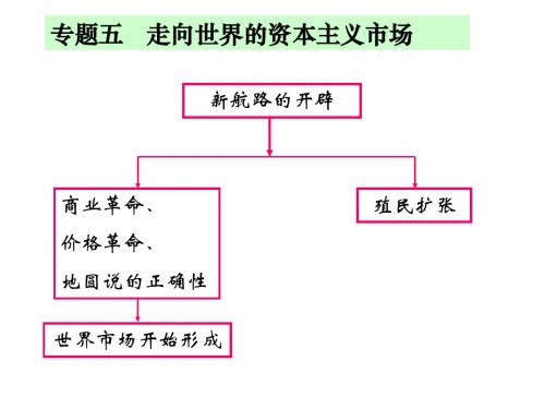 5-2 血与火的征服与掠夺