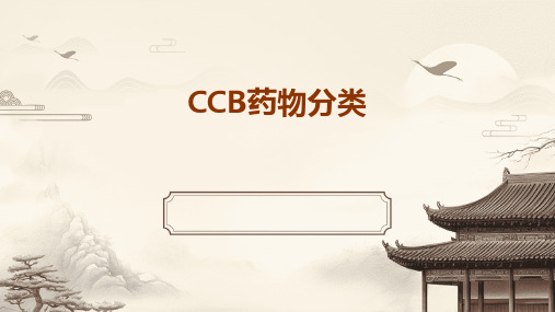 ccb药物分类