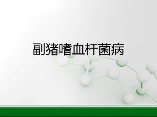 副猪嗜血杆菌病 PPT课件