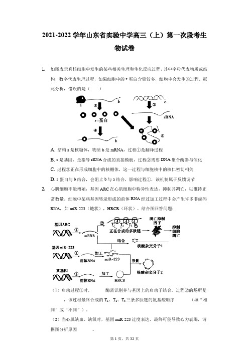 2021-2022学年山东省实验中学高三(上)第一次段考生物试卷(附详解)