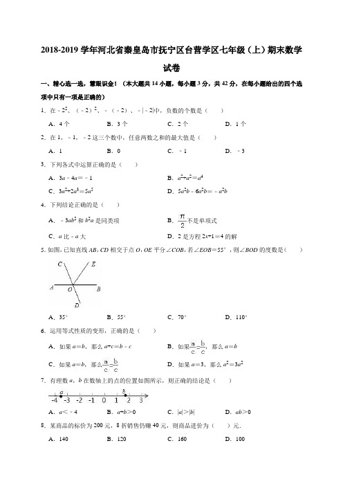 2018-2019学年河北省秦皇岛市抚宁区台营学区七年级(上)期末数学试卷(解析版)