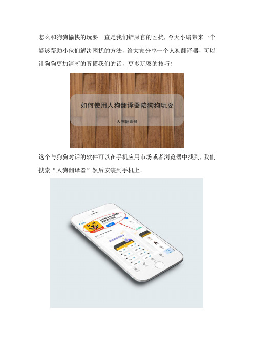 如何使用人狗翻译器陪狗狗玩耍