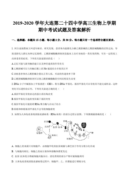 2019-2020学年大连第二十四中学高三生物上学期期中考试试题及答案解析