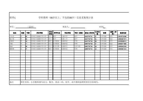 (修改)中华小学 教师信息采集统计表