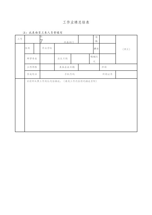 工作业绩总结表