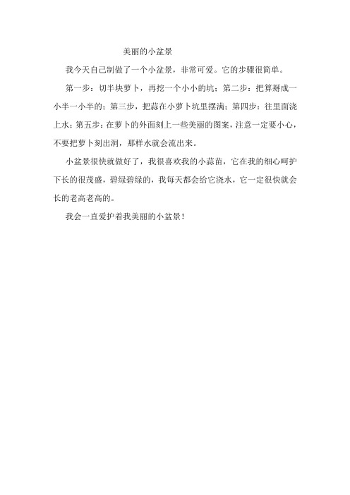 美丽的小盆景