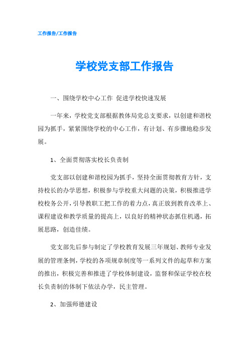 学校党支部工作报告