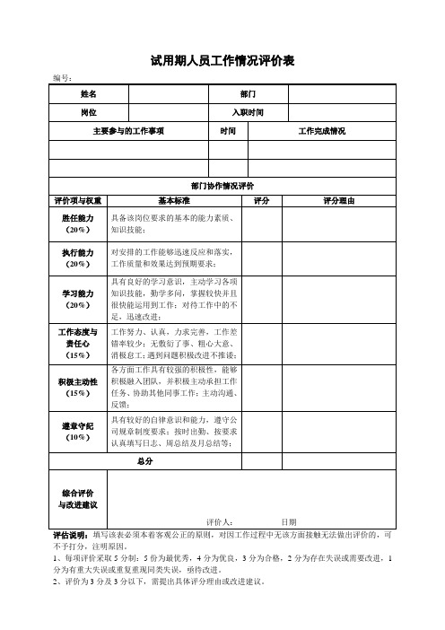 试用期人员工作情况评价表