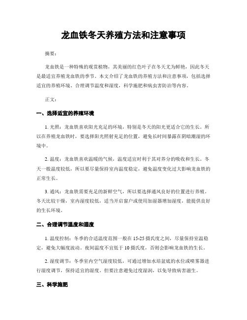 龙血铁冬天养殖方法和注意事项