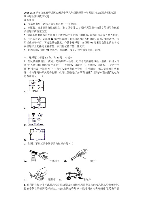 2023-2024学年山东省峄城区底阁镇中学九年级物理第一学期期中综合测试模拟试题含解析