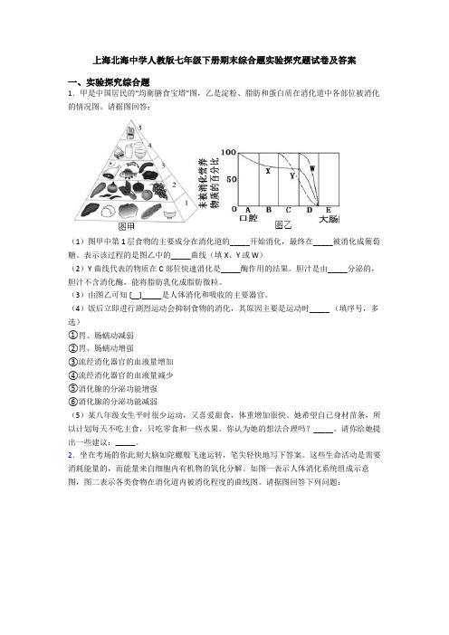 上海北海中学人教版七年级下册期末综合题实验探究题试卷及答案