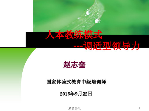 最终版领导和领导力.ppt