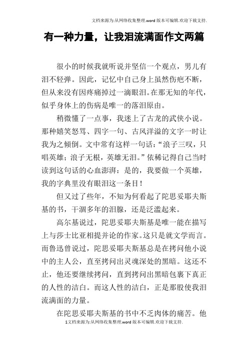 有一种力量,让我泪流满面作文两篇