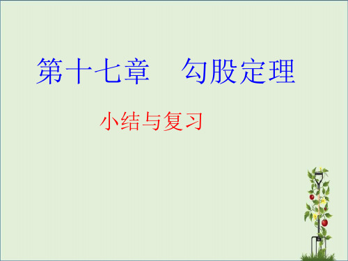 八年级数学下册第十七章勾股定理复习课件(新版)新人教版