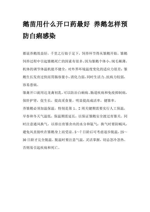 鹅苗用什么开口药最好 养鹅怎样预防白痢感染