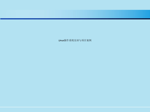 Linux操作系统实训与项目案例