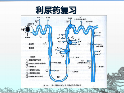 抗高血压药PPT课件