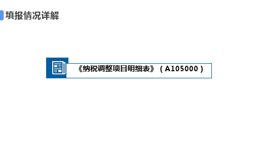 9.《纳税调整项目明细表》(A105000)