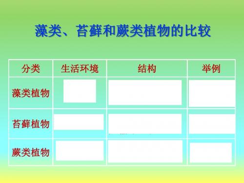 初一生物《种子植物》PPT课件人教版