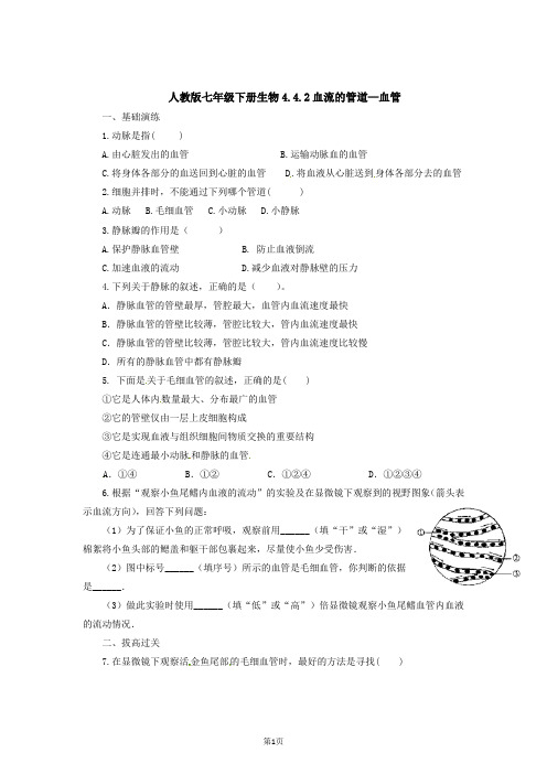 人教版七下生物4.4.2 血流的管道—血管同步练习
