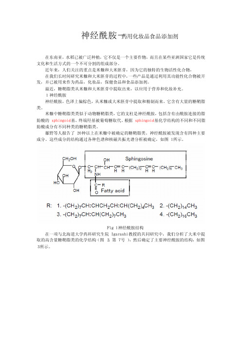 神经酰胺