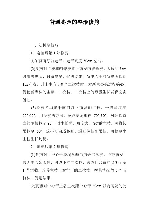 普通枣园的整形修剪