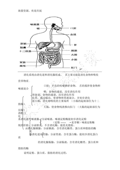 七年级下册生物图