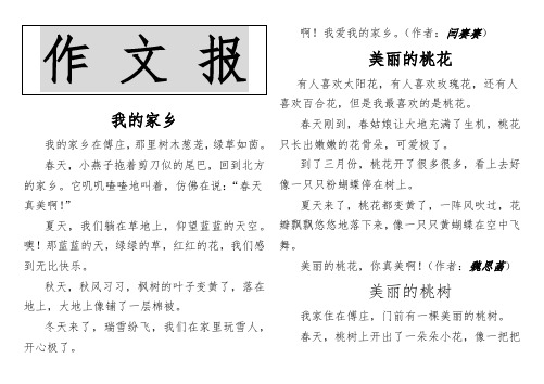 作文报模板