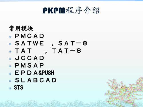 1-PKPM介绍PPT课件