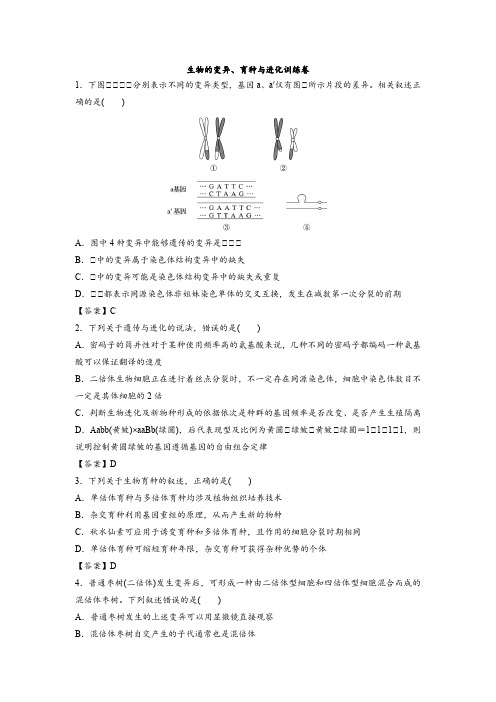 人教版高中生物生物的变异、育种与进化训练测试题