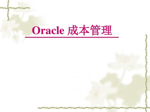 Oracle 成本管理