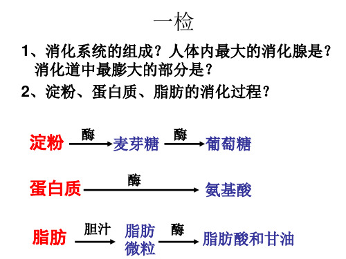 济南版生物七年级下册2.1人体内的气体交换(共22张PPT)