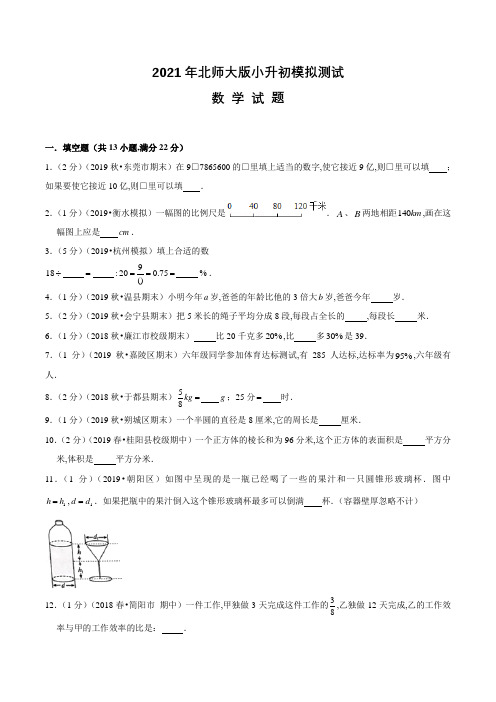 北师大版六年级小升初数学测试题(含答案解析)