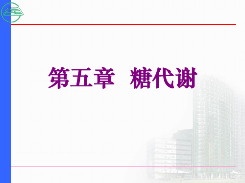 丙酮酸→→乙酰辅酶A线粒体