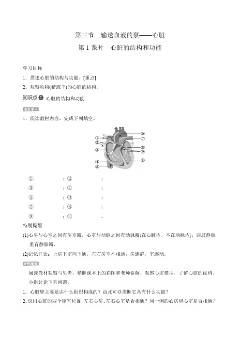 人教版生物七年级下册第四单元 第四章 第三节 输送血液的泵——心脏 导学案(含答案)