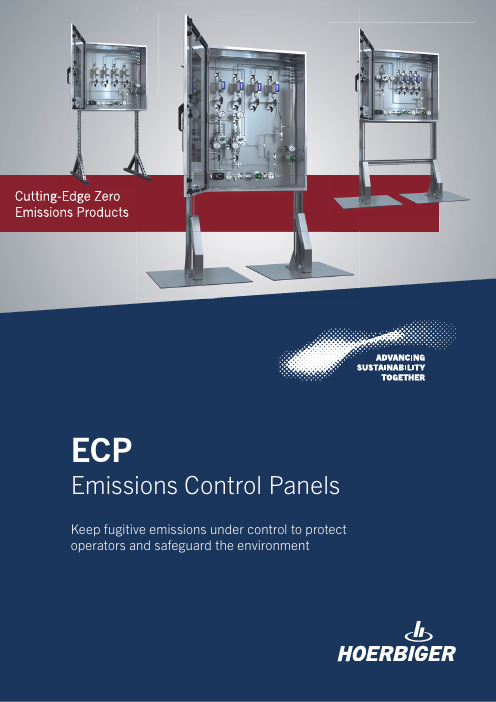 HOERBIGER Emissions Control Panels产品说明书