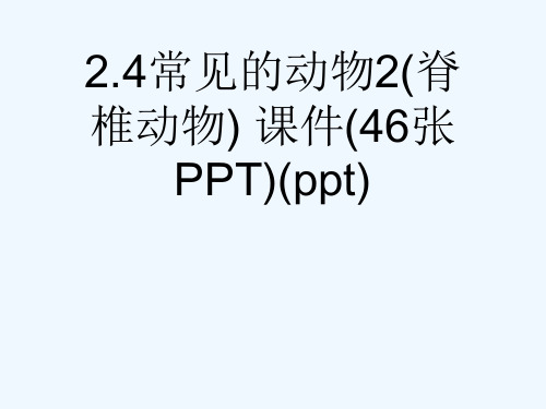 2.4常见的动物2(脊椎动物) 课件(46张PPT)(ppt)