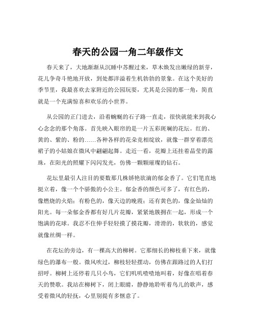 春天的公园一角二年级作文