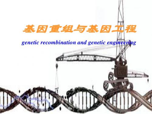 14Recombinant DNA technology