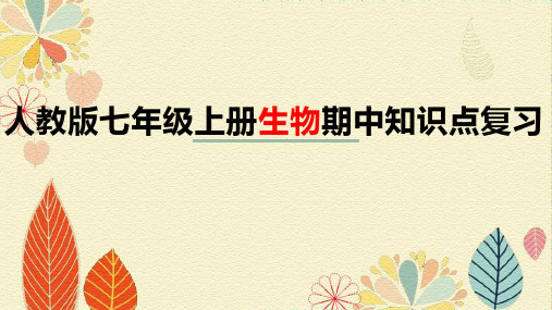 期中知识点复习课件2021-2022学年人教版生物七年级上册