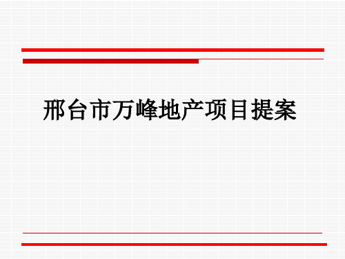 河北省邢台市万峰项目策划报告