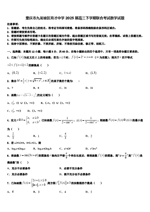 重庆市九龙坡区育才中学2025届高三下学期联合考试数学试题含解析