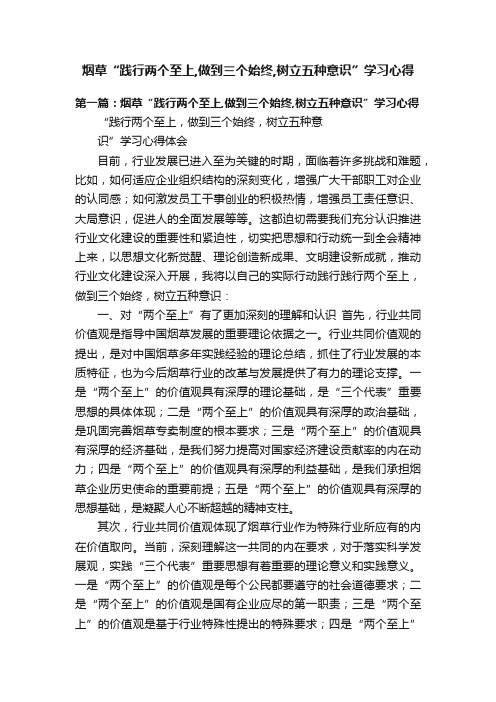 烟草“践行两个至上,做到三个始终,树立五种意识”学习心得