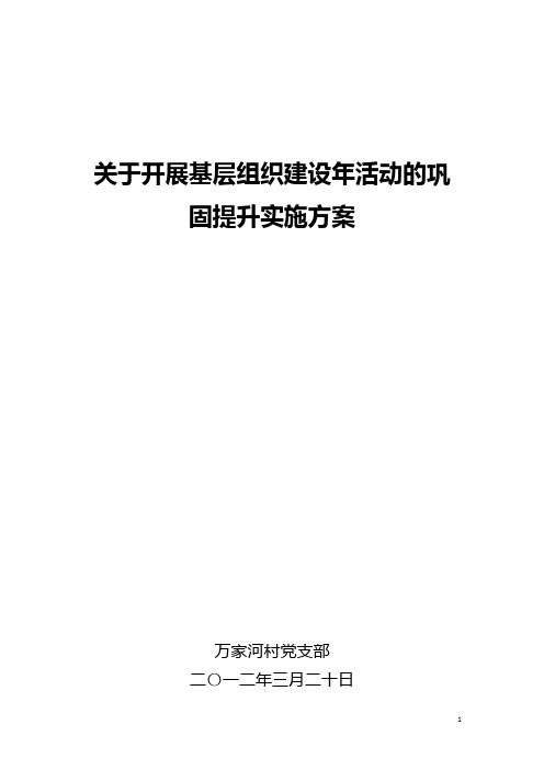 万家河党支部关于开展基层组织建设年活动的巩固提升实施方案