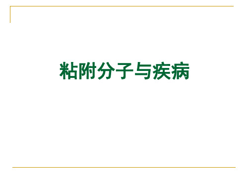 粘附分子与疾病