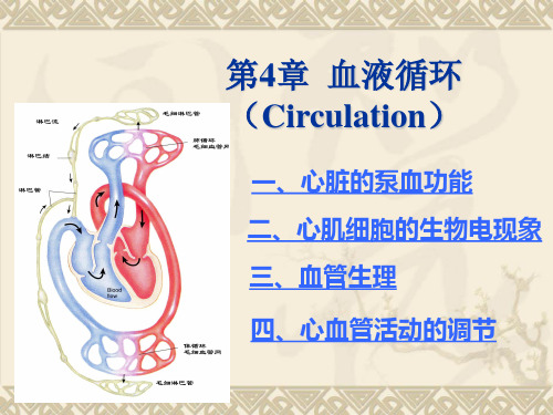 家畜生理学第四章 血液循环