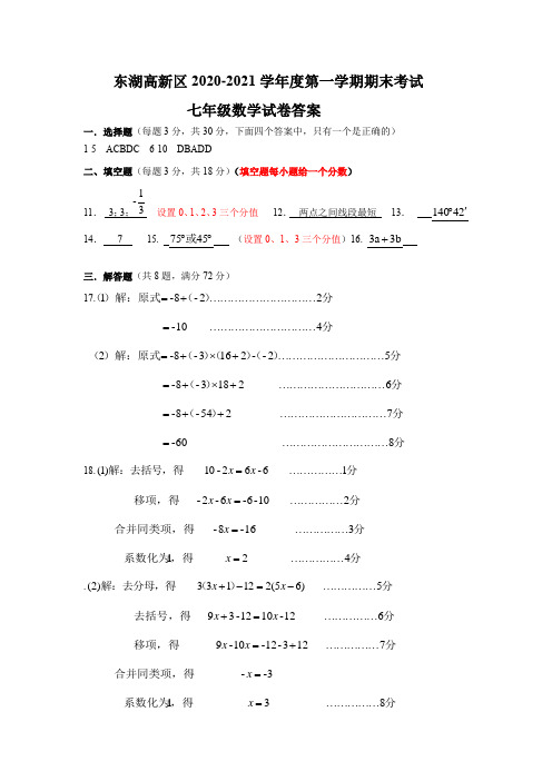 2020-2021东湖高新区七年级上学期期末考试数学标答